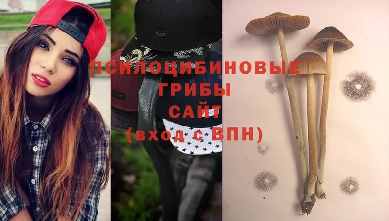 Галлюциногенные грибы Psilocybine cubensis  Инза 